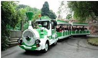 bioparco-di-roma-trenino